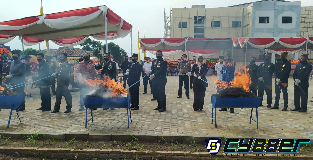 Polres Lamsel Musnahkan Ratusan Kg Sabu, Ribuan Butir Pil Ektasi, dan Puluhan Kg Daun Ganja Kering 